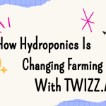 How Hydroponics Is Changing Farming Forever With Twizz.ai