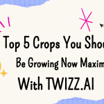 Top 5 Crops You Should Be Growing Now Maximum Profit