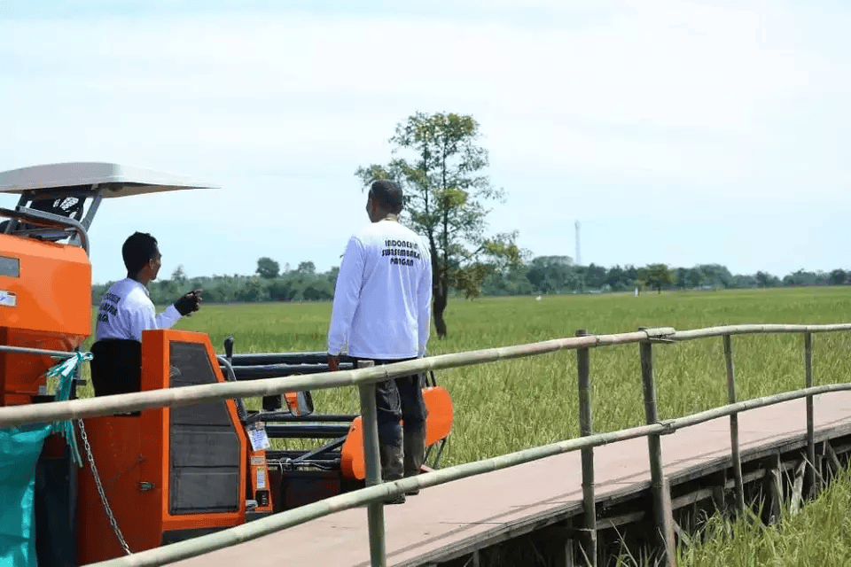 2025 Indonesian rice harvest celebration